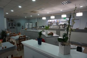 dachiara-altedo (15)